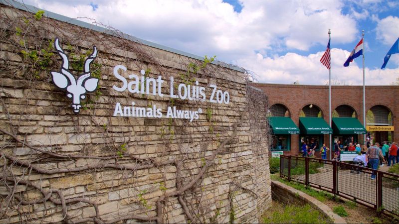 The Saint Louis Zoo