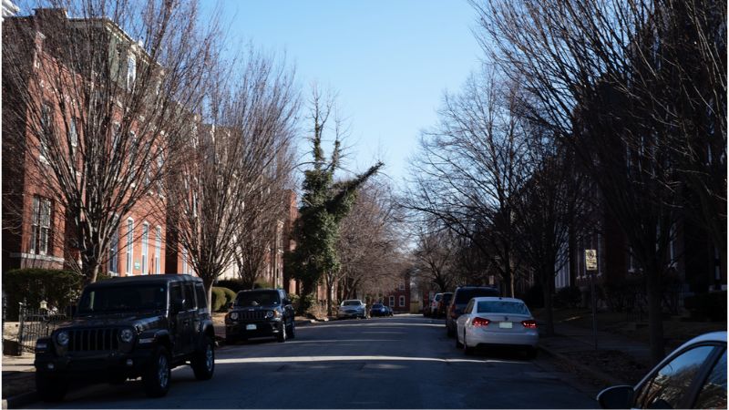 Street in Benton Park